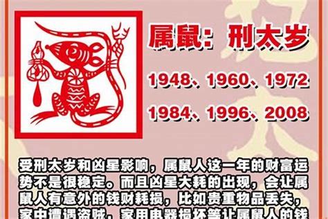 猪年2024运程|属猪人2024年整体运势及运程 2024年属猪人的全年运。